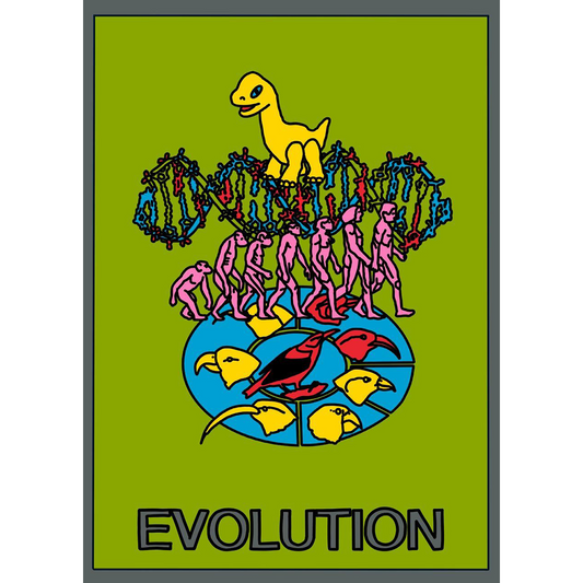 Evolution Poster